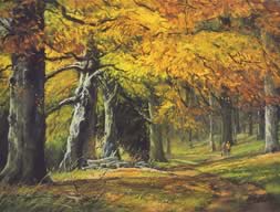 Autumn Beeches, Luccombe, Exmoor
