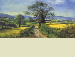 The Road to Exmoor
